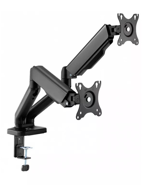 Pack 2 écrans DELL P2717H + 1 support double écran Advance MecaMounts